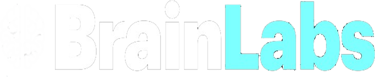 BrainLabs Analytics